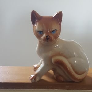 🐈🐕STORE CLOSING SALE!! ⚘🐇